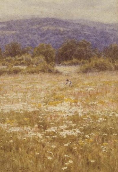 Zomerbloemen door Helen Allingham