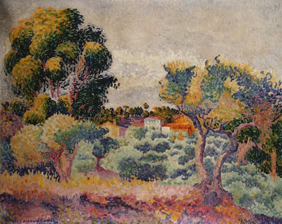 Eucalyptus- en olijfboomgaard door Henri Edmond Cross