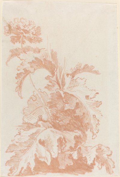 Bloeiende Papaver door I Jean Baptiste Hüet