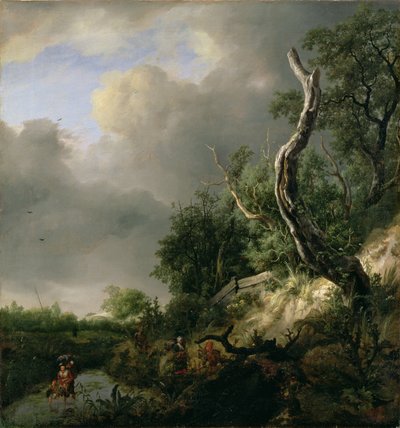 De duinen bij Haarlem door Jacob van Ruisdael