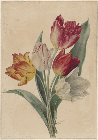 Boeket tulpen door Jan Jacob Goteling Vinnis