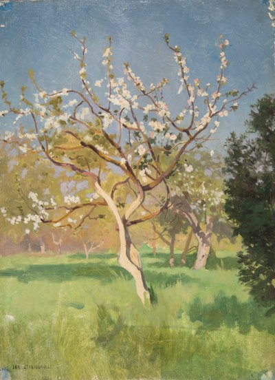 Appelboom in bloei door Jan Stanislawski