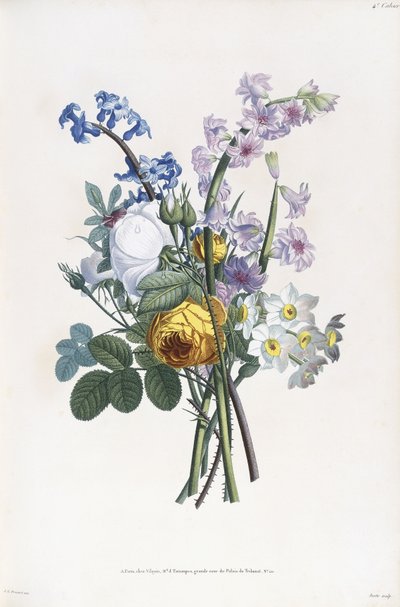 Narcissen, Roos, Hyacint, 1805 door Jean Louis Prevost