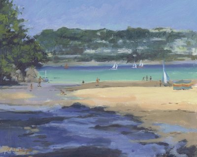 Salcombe Millbay Ochtend door Jennifer Wright