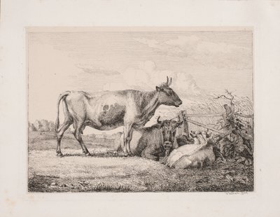 Koeien in het veld door Johannes Wilhelm Zillen