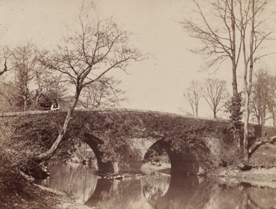 De landbrug (Staplylton Bridge, Bristol) door John Dillwyn Llewelyn