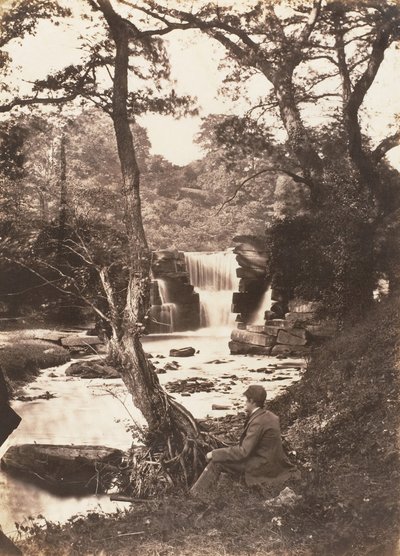 De bovenste waterval, 1853-56 door John Dillwyn Llewelyn