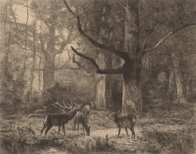 Forêt de Fontainebleau door Karl Bodmer