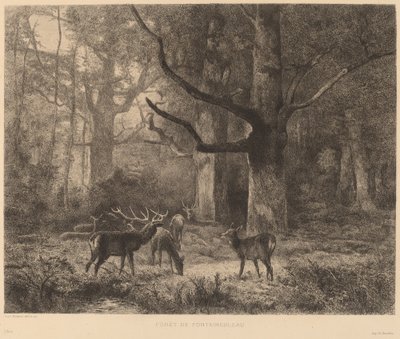 Bos van Fontainebleau door Karl Bodmer