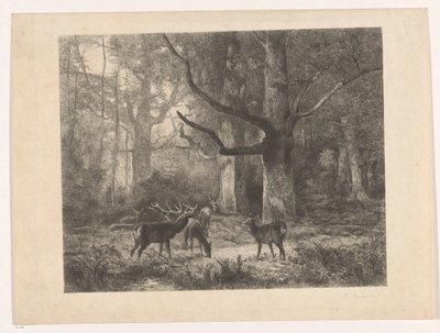 Herten in een bos door Karl Bodmer