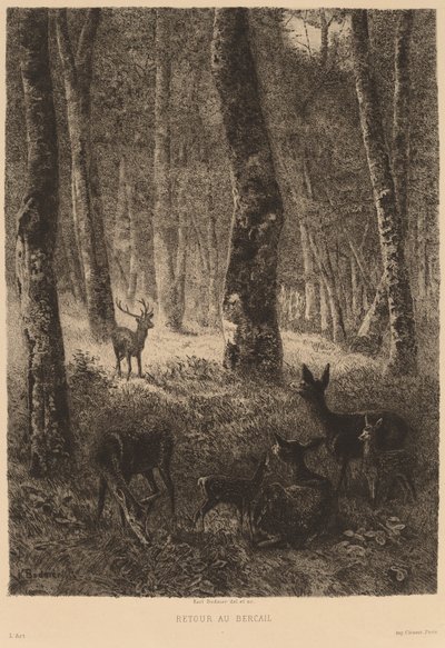 Terug naar de Schaapskooi door Karl Bodmer