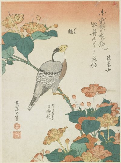 Japanse Diksnavel en Vier-uur-bloemen, c. 1833 door Katsushika Hokusai