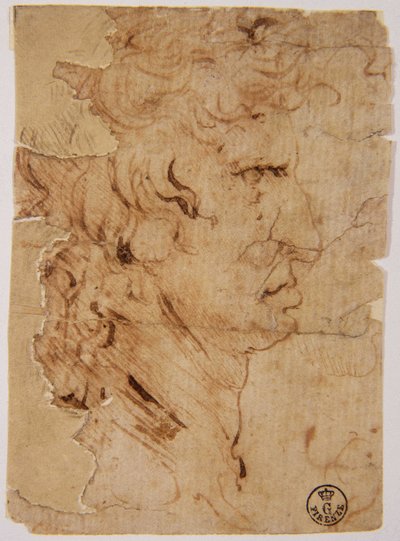 Onbekend beeld door Leonardo da Vinci