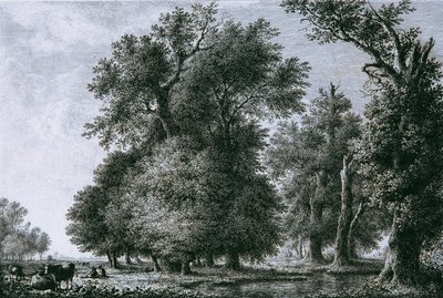 Landschap met eiken door Lorenz Adolf Schönberger