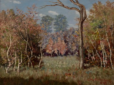 Herfstlandschap, 1889 door Louis Michel Eilshemius