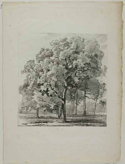 Studie van Bomen door Louis Pierre Baltard