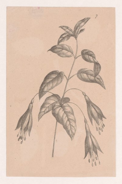 Tak met bloemen door Maria Geertruida de Goeje Barbiers (attributed to)