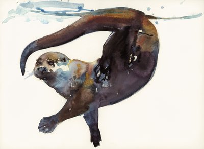 Otterstudie II - 