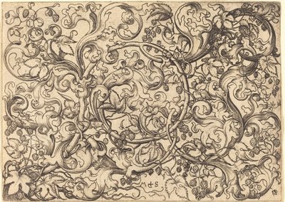 Ornament met Hoprank door Martin Schongauer