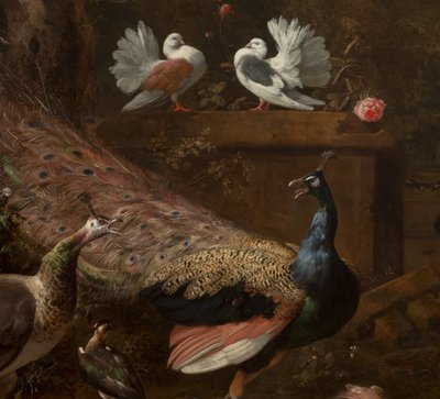 Detail (Menagerie, ca. 1680) door Melchior de Hondecoeter