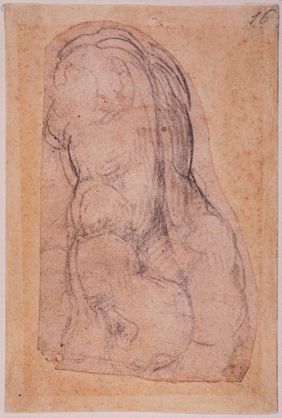 Studie van een oude Venus door Michelangelo Buonarroti