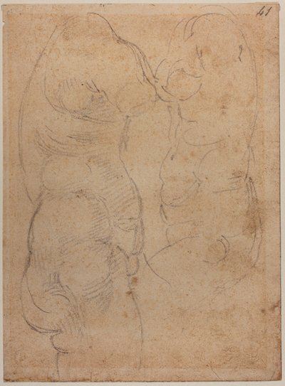 Twee studies van een oude Venus door Michelangelo Buonarroti