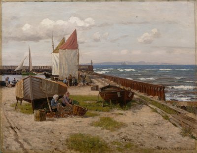 Aan de kust door Nils Hansteen