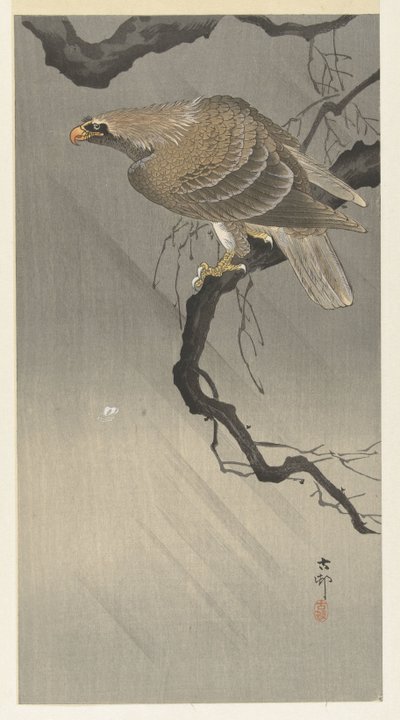 Arend op tak door Ohara Koson