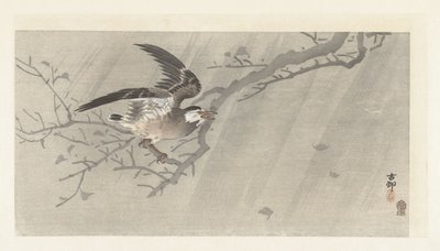 Grijze spreeuw in storm door Ohara Koson