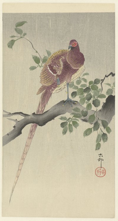 Koperfazant door Ohara Koson