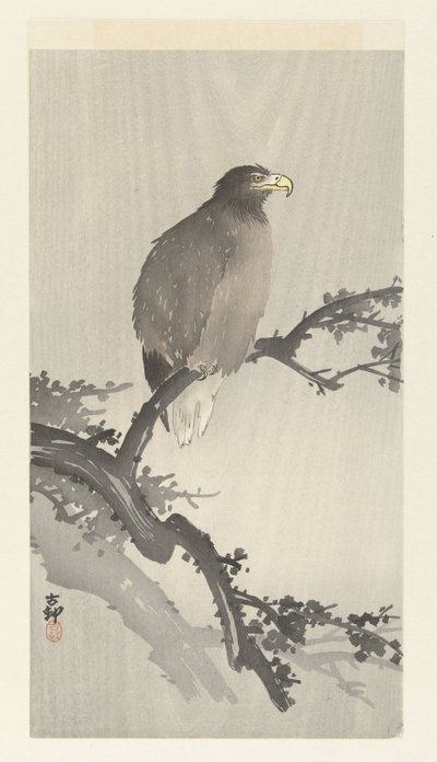 Zeearend op tak door Ohara Koson