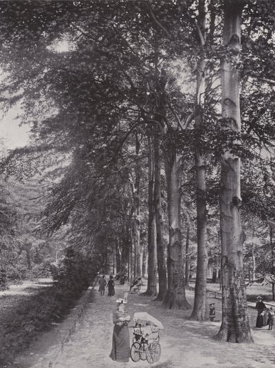 Im Tiergarten, Ein schattiger Weg door Photographer German