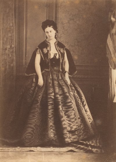 La robe de moiré, 1860s door Pierre Louis Pierson