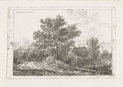 Landschap met boerderij door Pieter Casper Christ