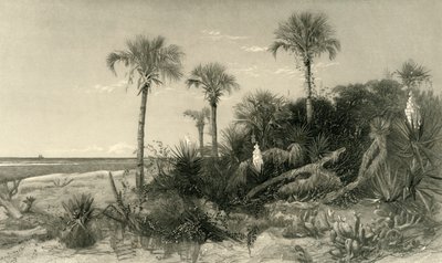 Aan de kust van Florida, 1872 door Robert Hinshelwood