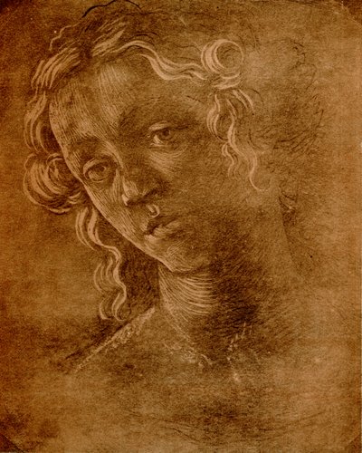 Vrouwelijk hoofd door Sandro Botticelli