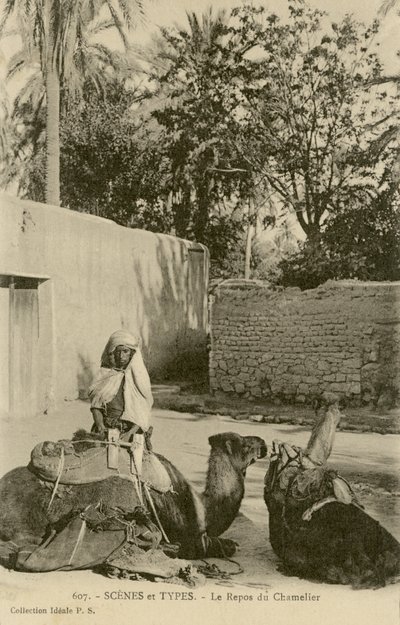 Le Repos du Chamelier, c.1890-1914 (zw/w foto) door School French