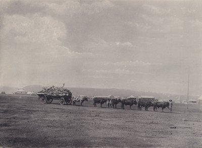 Een ossenwagen door South African Photographer