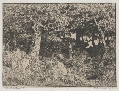 Eikenbomen en Rotsen door Pierre Etienne Theodore Rousseau