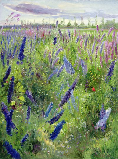 Riddersporen en Opkomende Zon door Timothy Easton