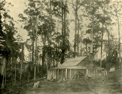 Een rustieke woning, 1901 door Unbekannt