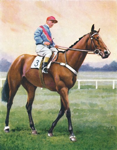 Boekverkoper, Jockey: G. Richards, 1939 door Unbekannt