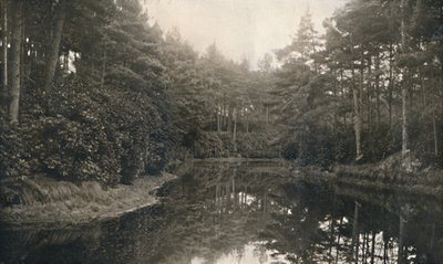 Branksome Chine en Meer, ca. 1910 door Unbekannt