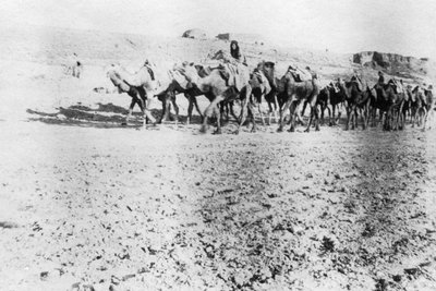 Kameelkaravaan, Mosul, Mesopotamië, 1918 door Unbekannt