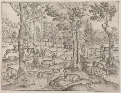 Herten in het bos, ca. 1520 door Unbekannt