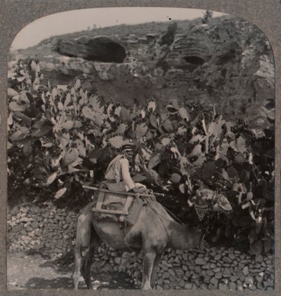 Golgotha De Plaats van de Schedel, ca. 1900 door Unbekannt