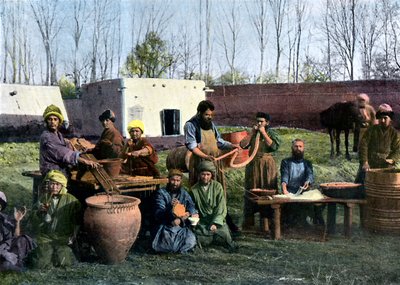 Gut-dressing fabriek, Bukhara, Oezbekistan, ca. 1890 door Unbekannt