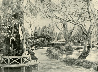 In de Botanische Tuinen, Adelaide, 1901 door Unbekannt