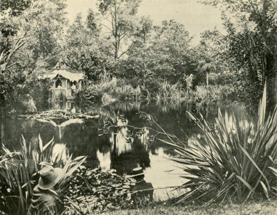 De tuinen van meneer Ryan, Mount Macedon, Victoria, 1901 door Unbekannt