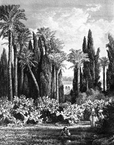 Vorstelijke tuin in Caïro, Egypte, 1880 door Unbekannt